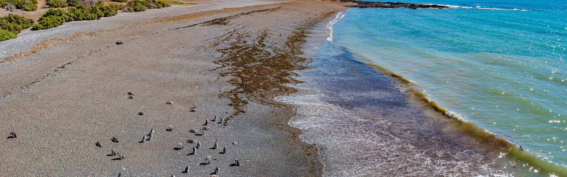 Ven a visitar Puerto Madryn y el paraíso que le rodea